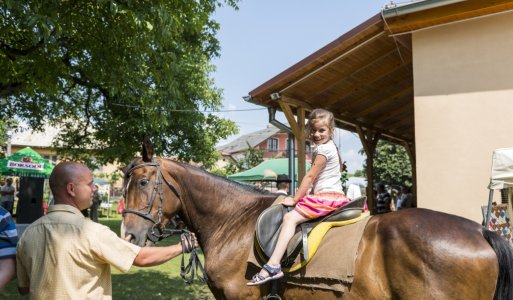 Kultúrno spoločenský deň obce Stará Bašta 21.7.2018